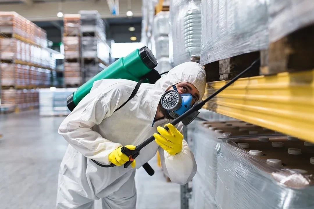 DIY Pest Control in Calgary: What Works, What Doesn't (and When to Call the Pros)