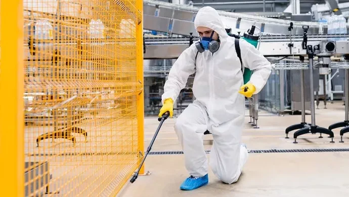Pest Control Myths Busted: What Every Calgary Homeowner Should Know