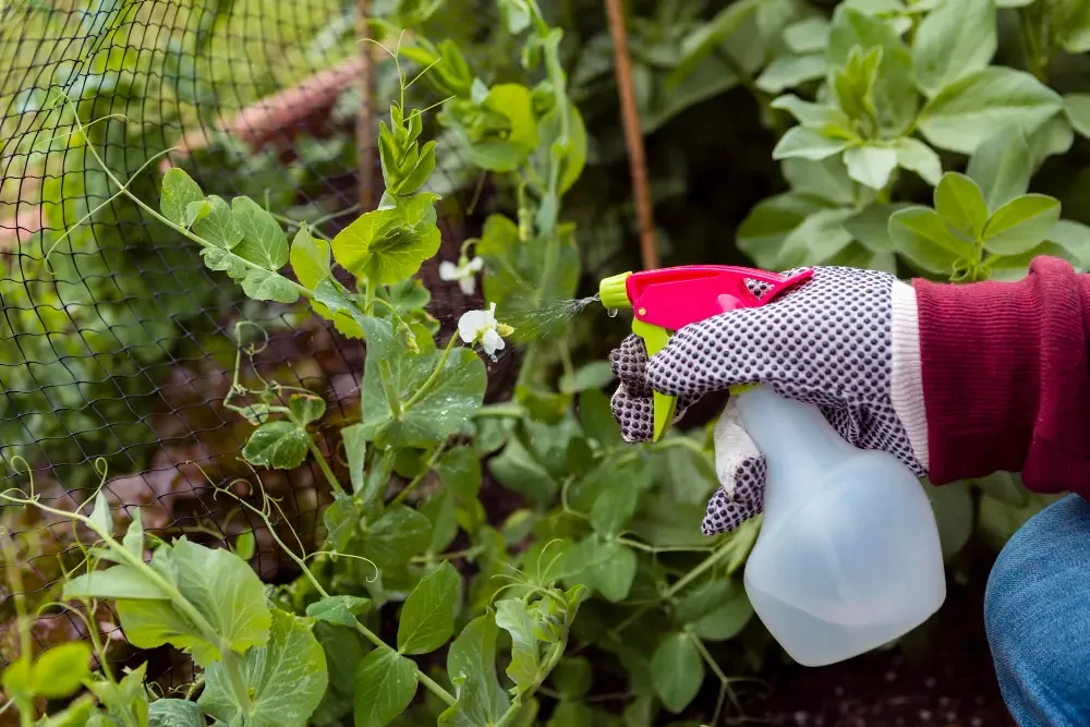 The Complete Guide to Garden Pests in Calgary 2026